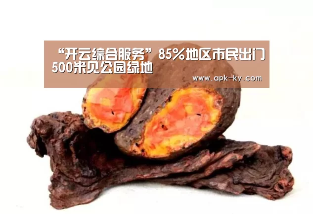 “开云综合服务”85%地区市民出门500米见公园绿地(图2) 开云官网